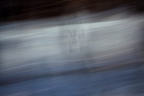 disappear 16 