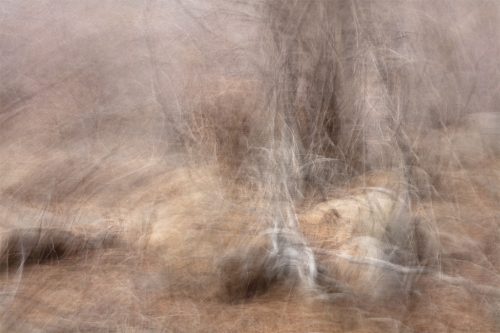 disappear 23