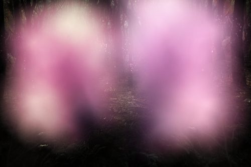 disappear 25