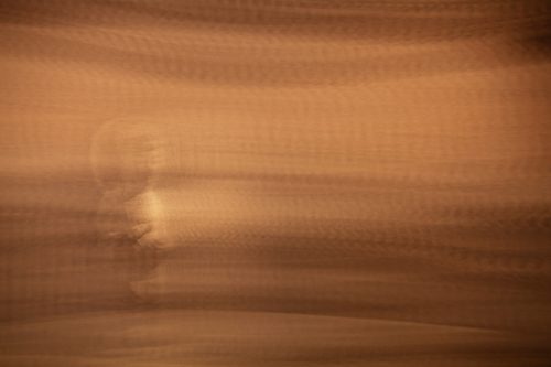 disappear 29