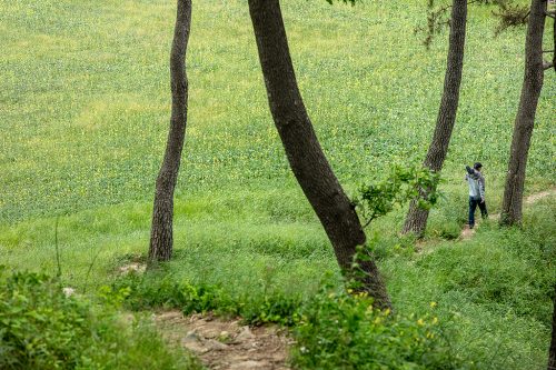 경주 월성