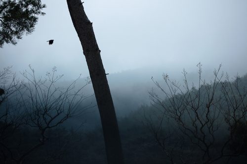 경주 남산