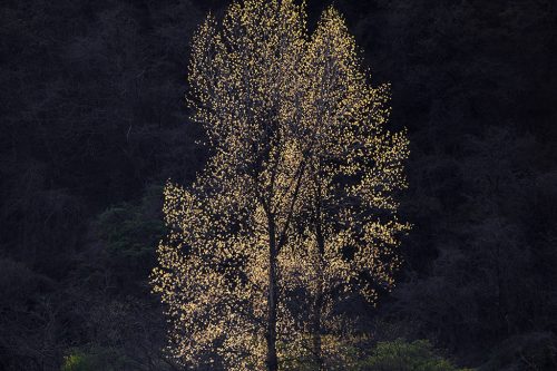 경주 4월