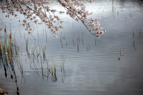 경주 남산