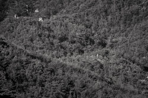 경주남산 잠늠곡삼층석탑 