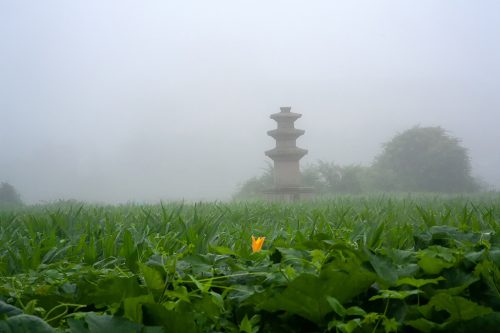경주 마동사지삼층석탑
