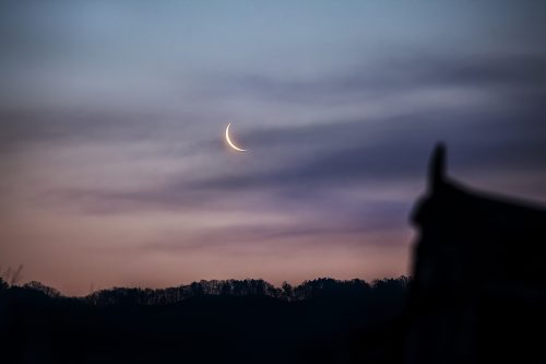 경주 불국사