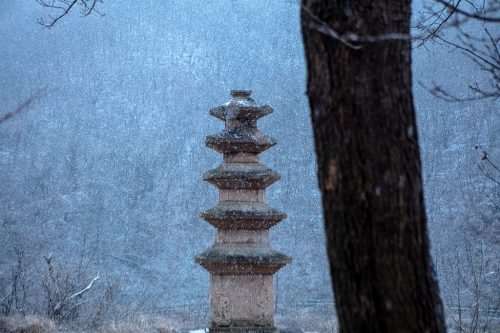경주 장항리사지