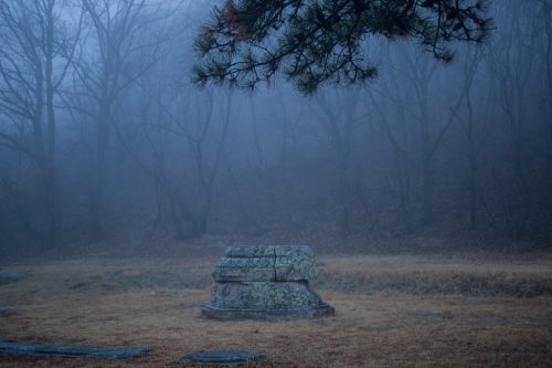 경주 장항리사지