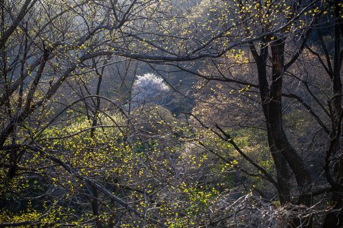 경주 토함산 