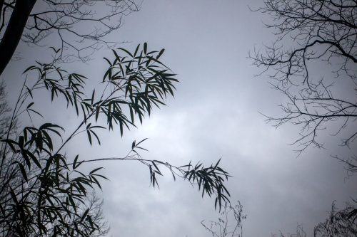 경주 황둔사지 